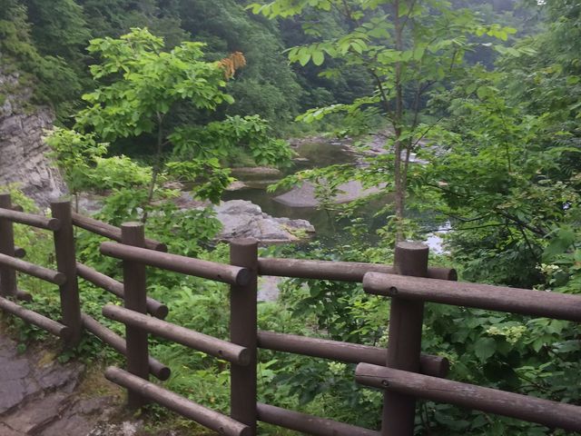 ��_�O�i��