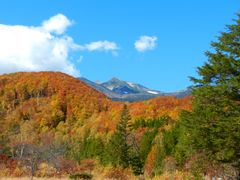 SG����̈�m�����n�ւ̓��e�ʐ^1