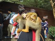 ݂񂳂̒oCIp[N̓eʐ^1