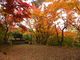 たけるさんの城山公園（岐阜県高山市）の投稿写真2