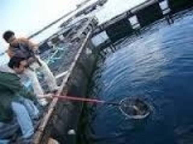 �͂₭�������ā[�[_�C��ޖx�@���ނ�̓��C