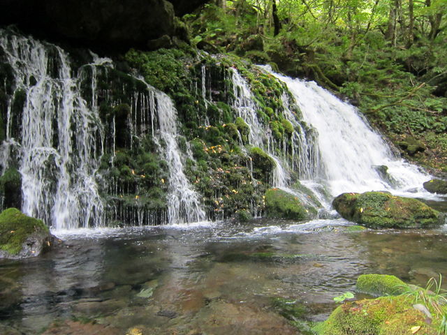 ���ꕚ����