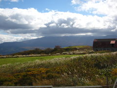 �������킳��̓y�c�q��ւ̓��e�ʐ^1