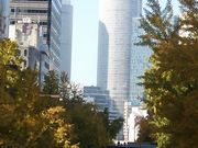 gRi[Y̍ʂ̂傤؂̓eʐ^1