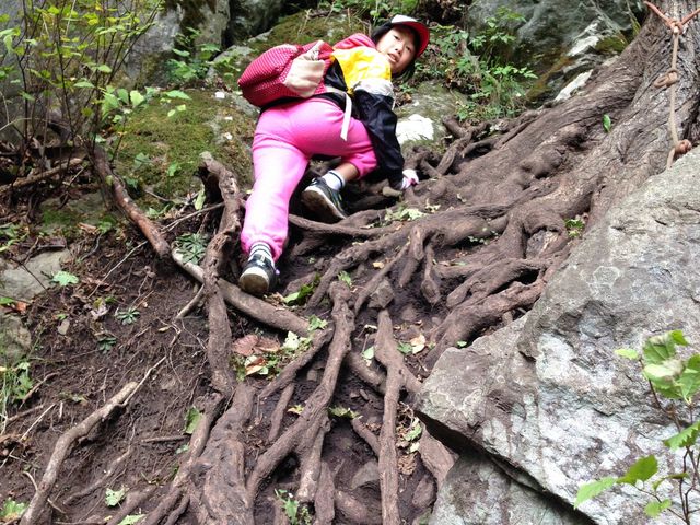 ���������w���A�g�y�ł�_��R�k