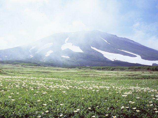 ���R�̍��R�A���Q��_���R