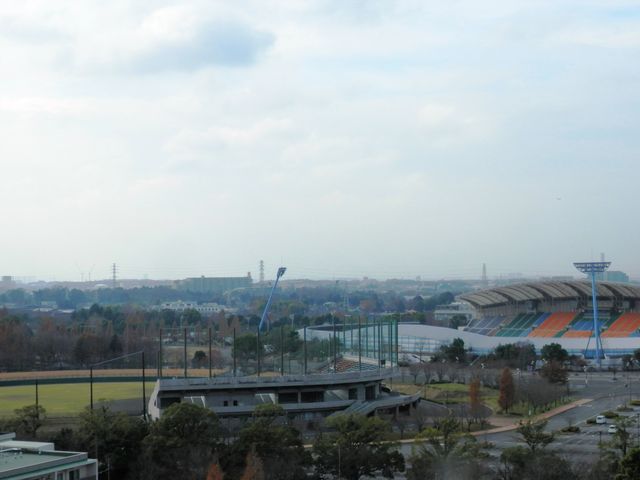 �L���~�n_��t�������̗t����