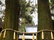 �ɂႤ�˂�����̍����_�Ђ̓��e�ʐ^1