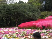 ܂񂳂̂̂̂܃AChp[N̓eʐ^1