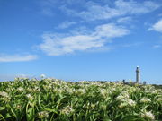 �܂�����񂳂�̊p������n�}���E�Q���n�^�͂܂䂤�̓��e�ʐ^1