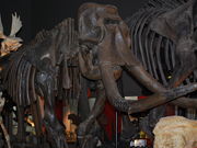 ɂႤ˂̑sRjق̓eʐ^1