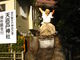 にゃうねこさんの天岩戸神社（京都府福知山市）への投稿写真3