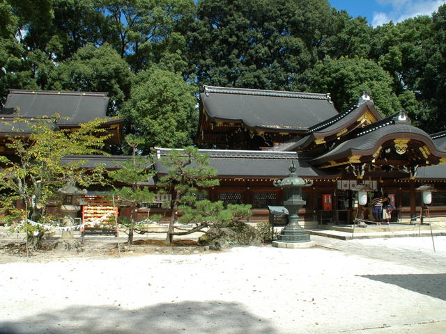 ���{�_��_�������