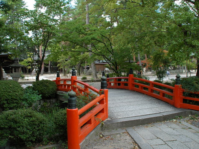 ���{�_�ЁE���㌀�̎B�e�ꏊ�ɗǂ��g����I_�������