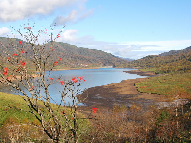 �씽��_�씽�΂����܃K�C�h