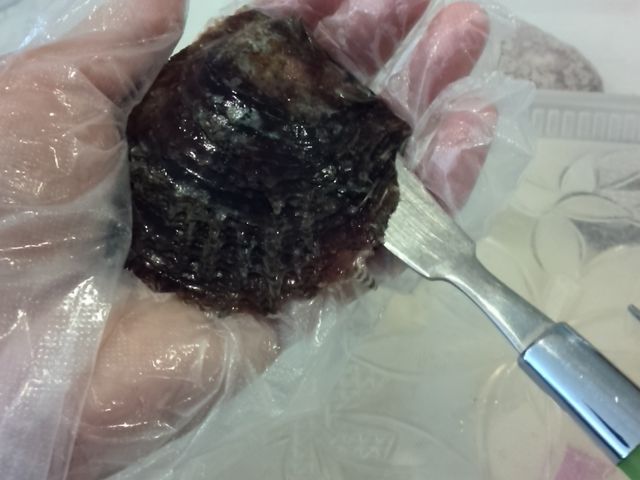 �o�^�[�i�C�t�̂悤�Ȃ̂ŁA�L���J���Ɛ^�삪�I_�^��삾���̌��@�a��{�^����X