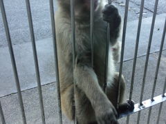 `r`r̔g胂L[xCւ̓eʐ^1