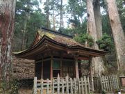 񂳂񂳂̏㐙MEi̓̕eʐ^1