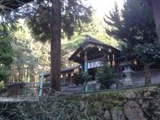 Sakamoto119����̖����_�Ђ̓��e�ʐ^6