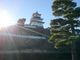 ANNさんの掛川城御殿の投稿写真3