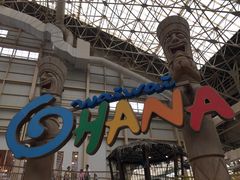 �X�p���]�[�g�n���C�A���Y�̎ʐ^1