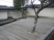 񂿂񂳂̐򎛂̓eʐ^2