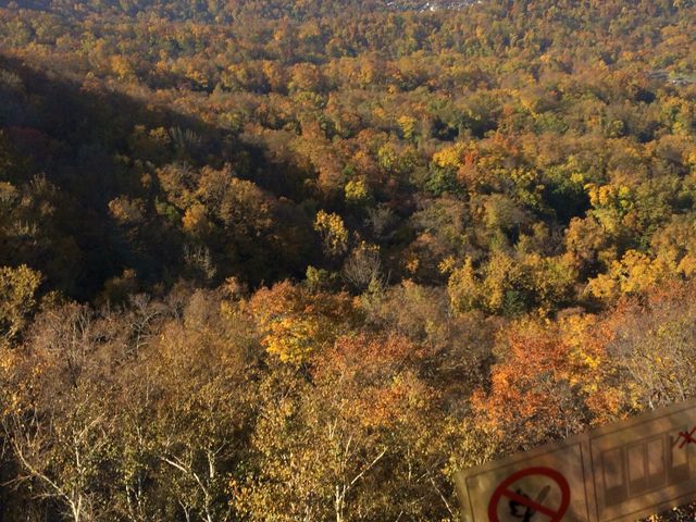 2015�N10�� ���[�v�E�F�C���_������R���[�v�E�F�C