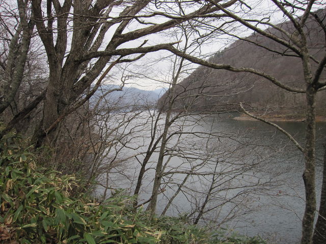 2015�N11��22���B�e�j
�u�O���Ύ��Ӂv
_�O���Ύ���