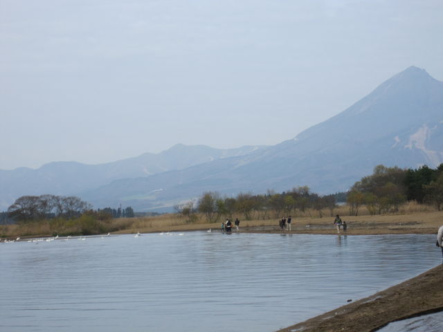 2015N1122Bej
uc΁Euclvu֒Rv_ucl