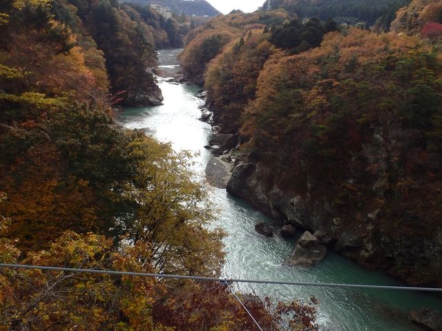 �݋�����̐�i_�S�{�|���݋�