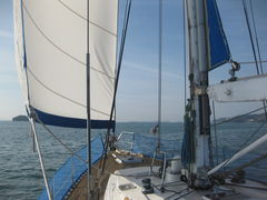 N`[̃zeE}[jւ̓eʐ^1