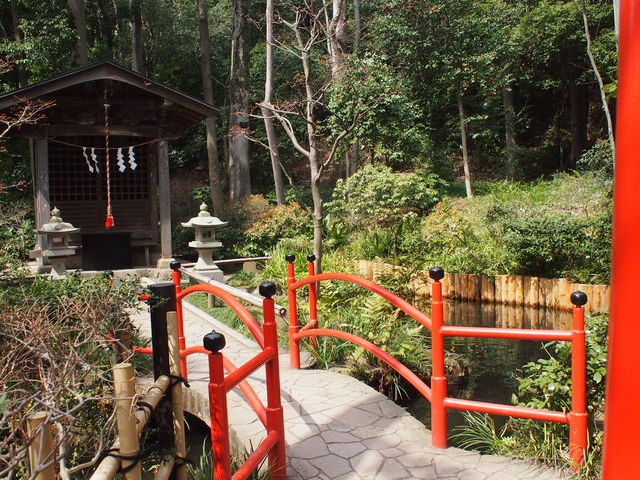 ����̓��E�^�p�̒r�N���Q_����̓��E�^�p�̒r�N���Q