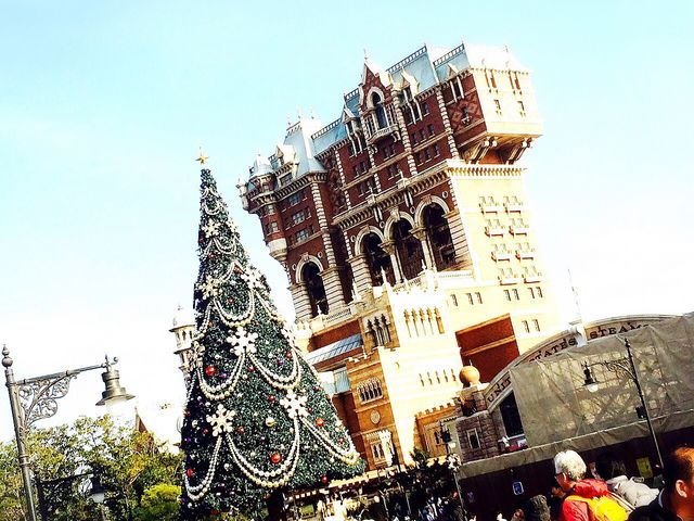 �f�B�Y�j�[�V�[_�����f�B�Y�j�[�V�[(R)