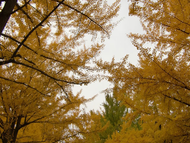 �k��C�`���E����_�k��C�`���E����