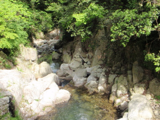 �ݐ�k�J_�ݐ쉷��