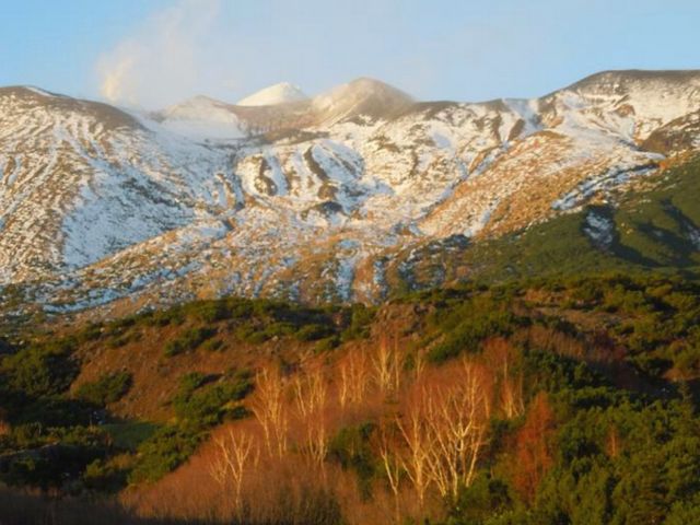 �\���x�]�x��_�\���x�]�x��