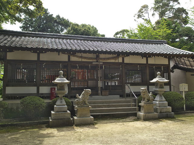 ����_��_����_��