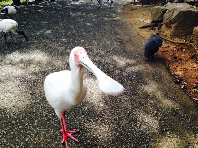 �l�I�p�[�N�I�L�i��_�l�I�p�[�N�I�L�i��