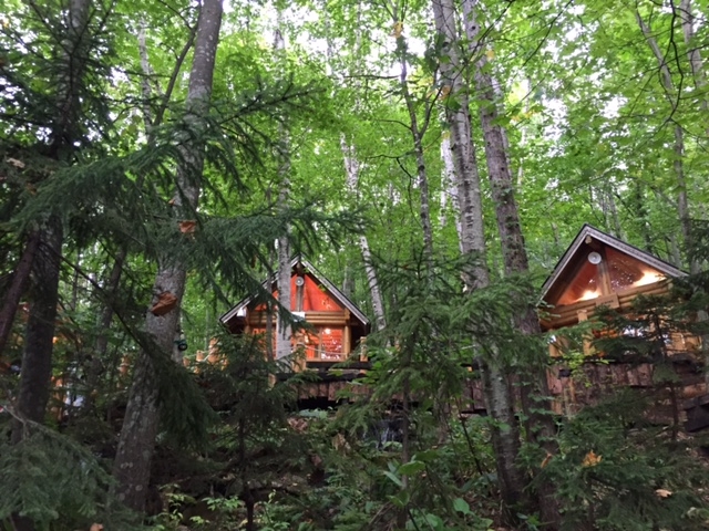 �V���b�s���O���[�h�u�j���O���e���X�v_�V���b�s���O���[�h�u�j���O���e���X�v