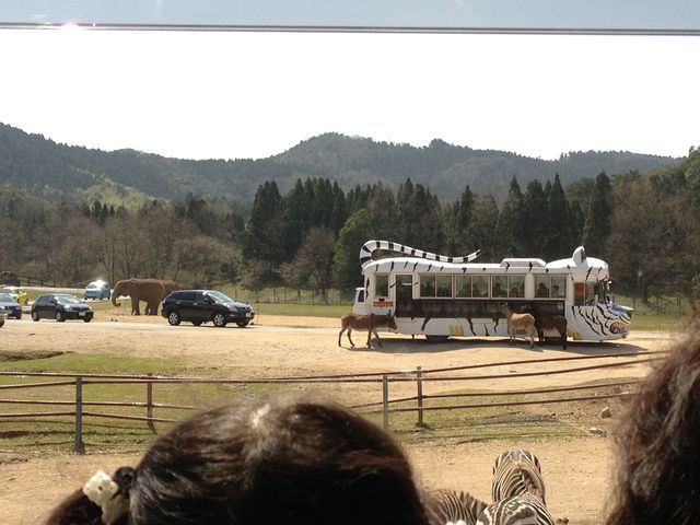 �H�g�䎩�R���������T�t�@�������h_�H�g�䎩�R���������T�t�@�������h