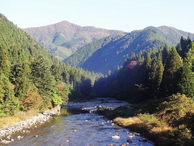 P񂳂̔쉷I[gLv̓eʐ^2