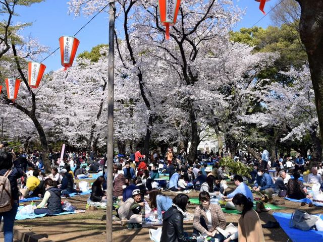 上野公園の桜】アクセス・営業時間・料金情報 - じゃらんnet