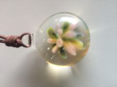 akoTaigaGlassւ̓eʐ^2