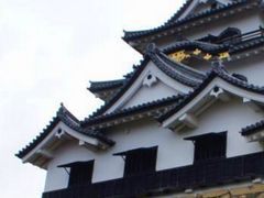 ���ʎj�ՕF����Ղ̎ʐ^1