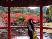 ނ炳񂳂̖nk_LOuΉv̓eʐ^3