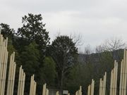 Ă̐琤LOق̓eʐ^2