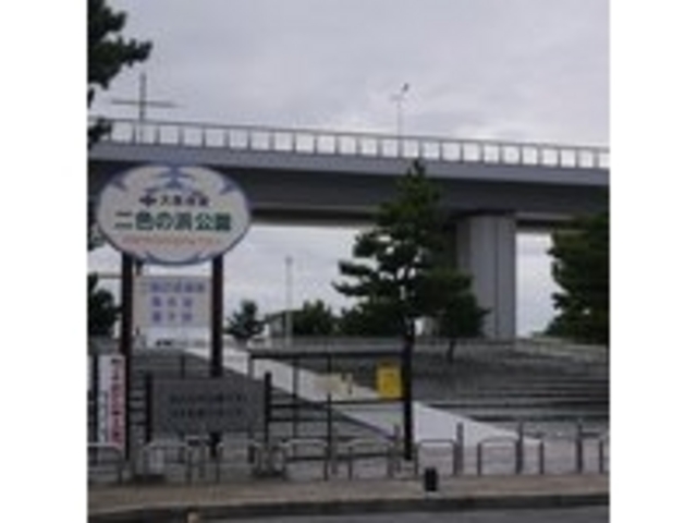 ��F�̕l��������