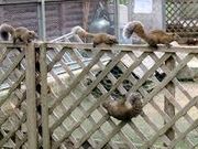 [񂳂̎sӂꂠ̗@X̓eʐ^2