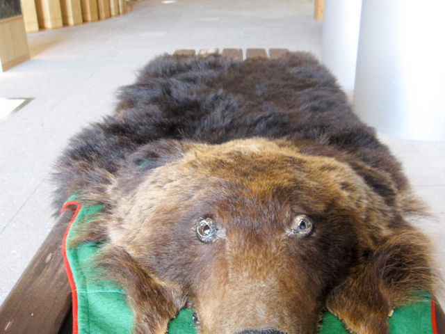 �{�ݓ��x���`_�x┌΃r�W�^�[�Z���^�[