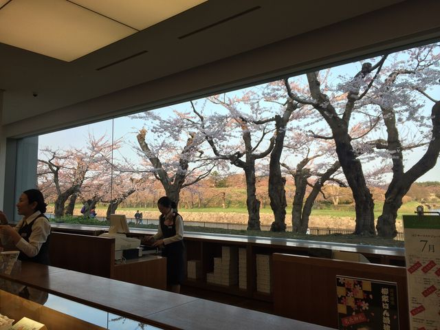 �ܗŊs����